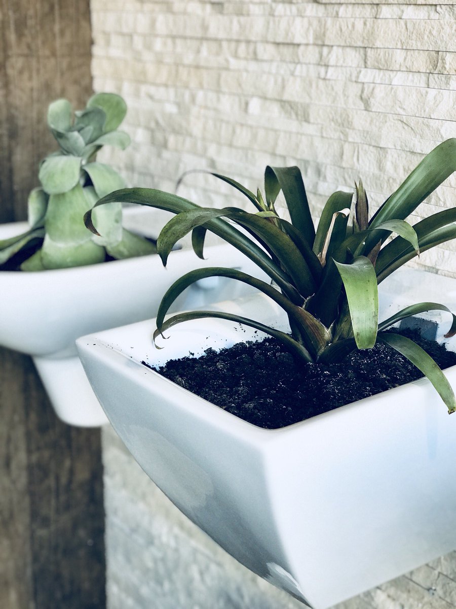studioVitaliano's tweet photo. I ❤️ DESING
#LaboratorioInedito è specializzato nell’arredare i vostri spazi esterni creando ambienti confortevoli ed eleganti.
#KARTELL
#destinazionemarche
#outdoor
#laboratorioinedito
#interiodesing https://t.co/NOYIltiy6S