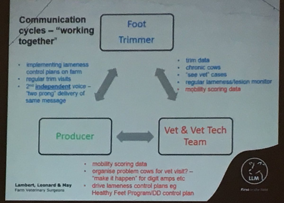 Louise Clarke tweet media