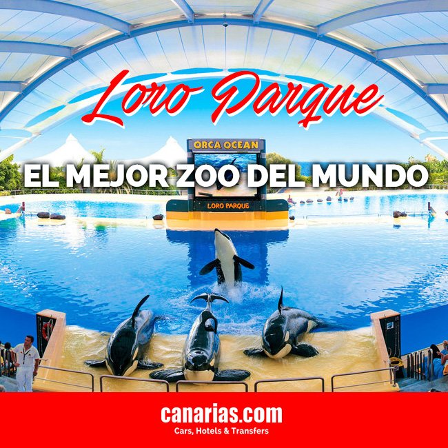 Canarias.com tweet media