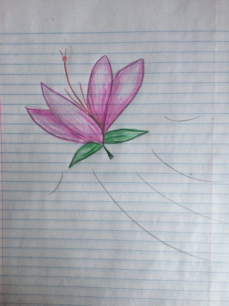 JillianAviva's tweet photo. @ds106dc #tdc2270 this is a butterflower. Looks like a flower but it flies like a butterfly. https://t.co/mp2beUPs0b