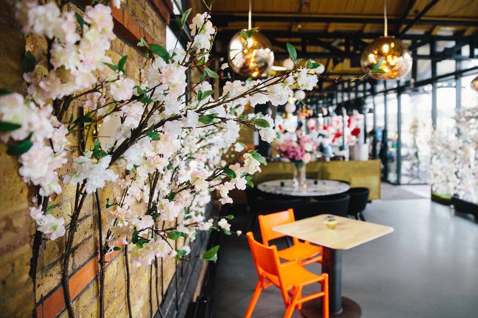Lunchtime #Wedding Treat - Looking for alternative, contemporary ways to use flowers at your wedding? 
These cherry blossoms attached to the wall look amazing (Please ask your venue before getting the stapler out!) 

Floral Design <a href="/EmmaSoulsby/">Emma Soulsby</a>
Styling <a href="/AlwaysAndri/">Andri Benson</a>