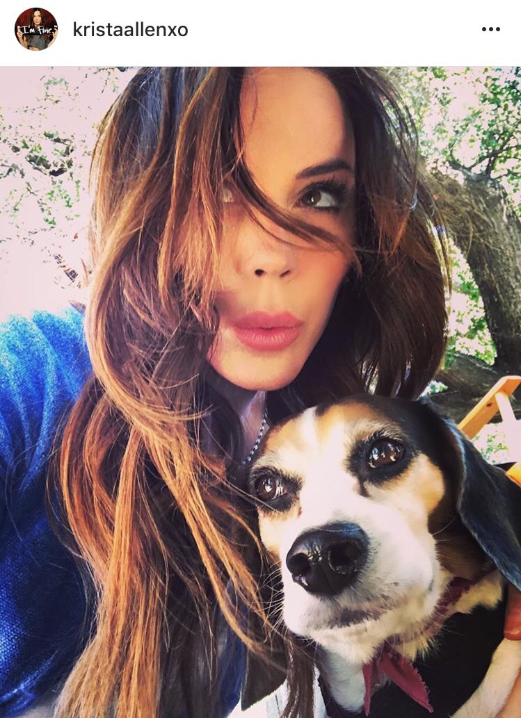KristaAllenBr's tweet photo. É muito amor!!! Bom dia, catioros e humanos!!! Krista Allen e ele: Jack, The Beagle!!! https://t.co/0W5DEwcEgR
