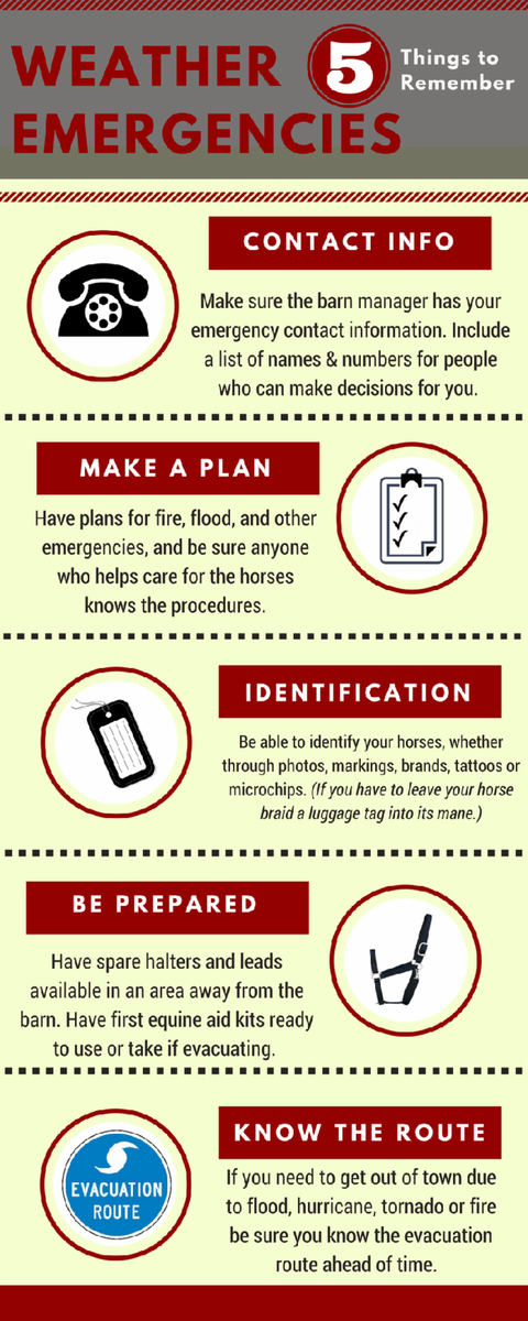 The EMO Agency, Inc. tweet media