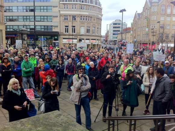 Sheffield Tree Alerts tweet media