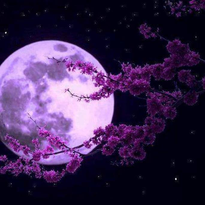 FrancysTrujillo's tweet photo. Semana Santa con luna llena aries libra cáncer capricornio dias de prudencia evite hacer cirugías,cuidado vial, https://t.co/MLtgfn5udn