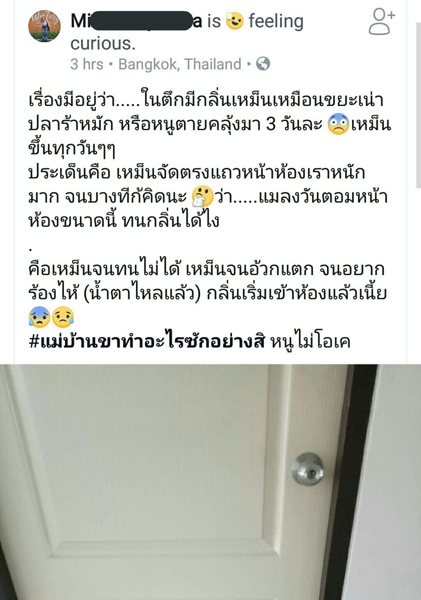 สาคูน้าด *◟➿ tweet media