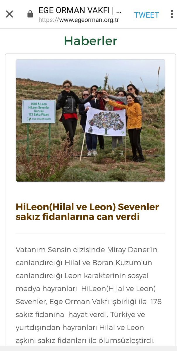 HiLeonSakiz's tweet photo. Etkinliğimiz için gösterdiği ilgi ve özen için @EgeOrmanVakf ‘ına ve bu korunun oluşmasında gösterdiği destek için #HiLeon Sevenlere teşekkür ederiz.. 
Yeşil yarınlarda görüşmek dileğiyle 🍃#HiLeonSakızAğacı #MirayDaner #BoranKuzum #VatanımSensin 
https://t.co/9YJRv0h4TN https://t.co/qXVnZVs1MO