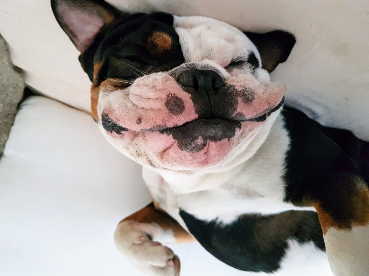 KesleyBul's tweet image. #relaxing #oeb