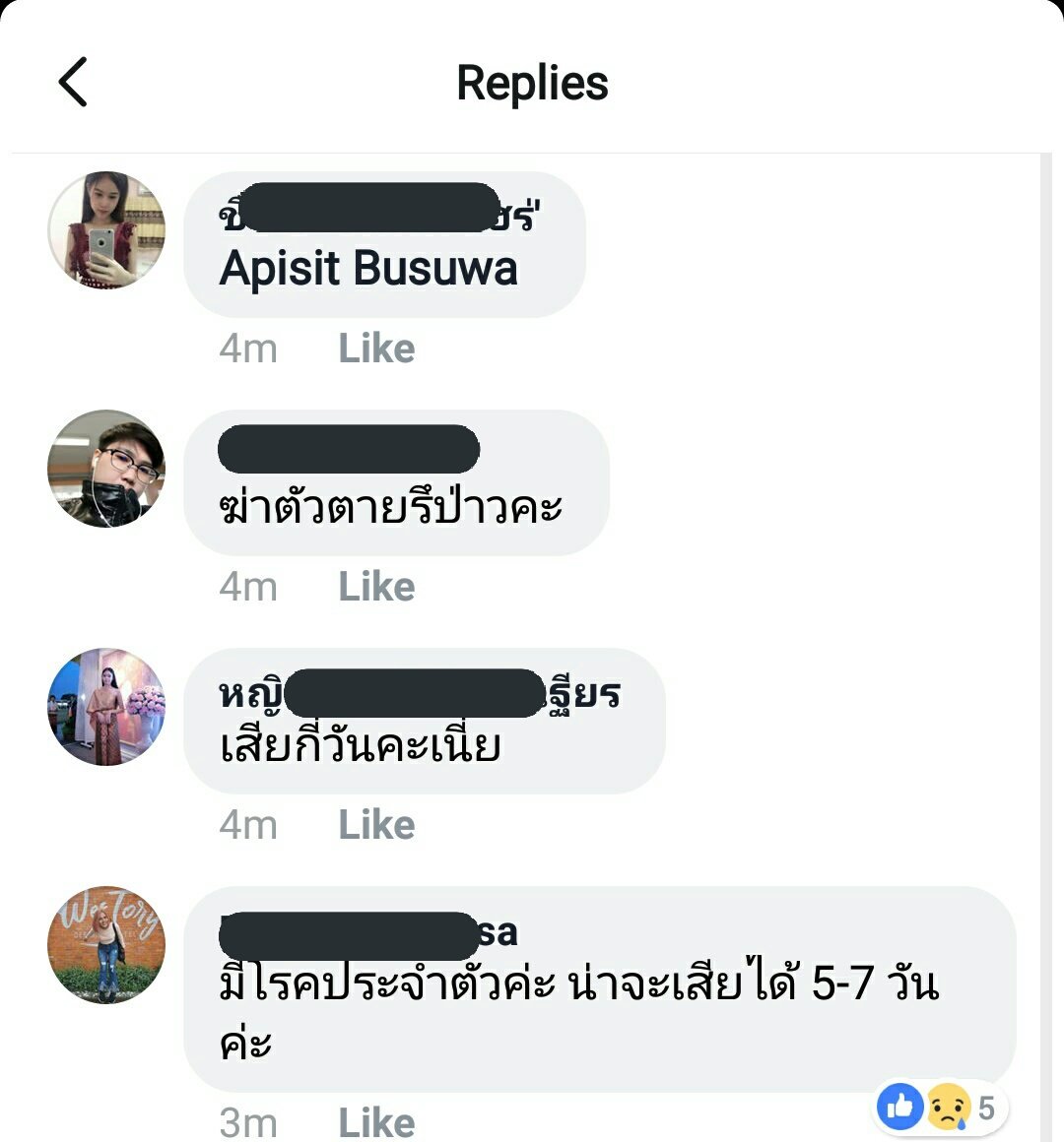 สาคูน้าด *◟➿ tweet media