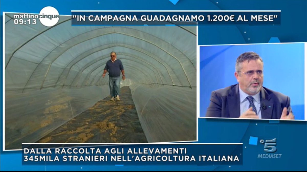 ClickRassegna's tweet photo. Paolo Capone, Segretario Generale @UGLNazionale adesso in diretta su Canale 5 a @mattino5 a parlare di #disoccupazione giovanile e di #precarietà. @fpcapone @DurigonClaudio @DePasquale_Ugl @LuigiUlgiati https://t.co/nLV83kgm3n