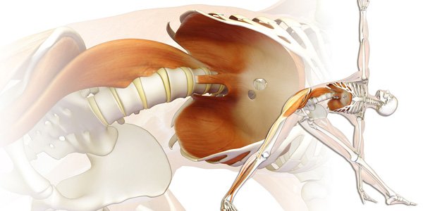 Iliopsoas #stretching and #lowback pain