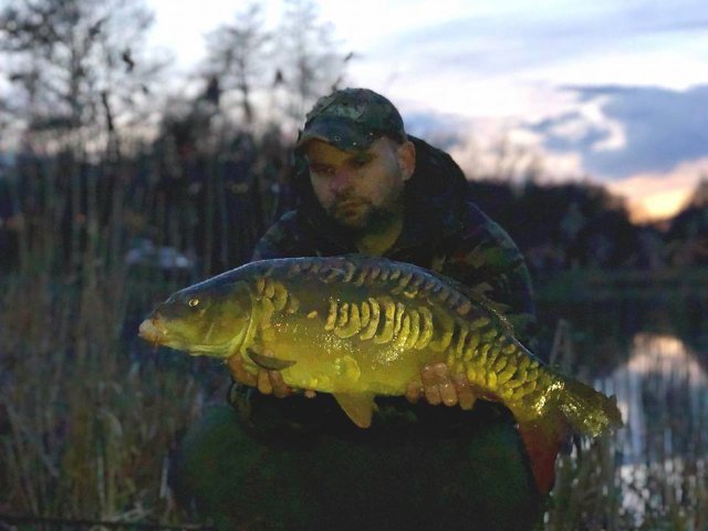 BigFishBaits's tweet photo. 12 day's ago Gary and Mark Blackwell got themselves 15 Carp using our Spring Deal which comprised of #Stench and #Squilberry. So with that success still in mind Mark returned with friend Dan and between them nailed another 12 Carp and here are the best 4 of the lot they sent us. https://t.co/Io3qG6Pr86
