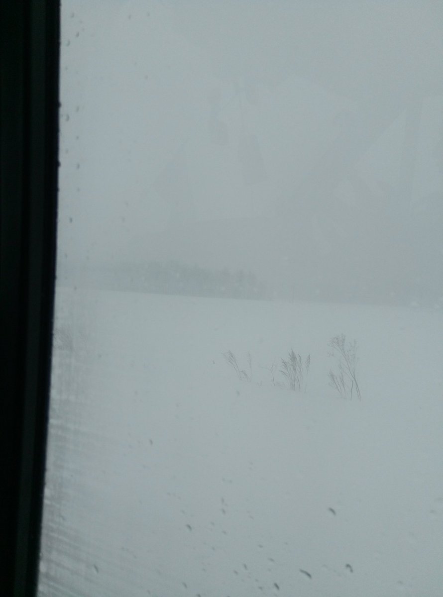 _lost_creature_'s tweet image. 28 марта, больше и добавить нечего