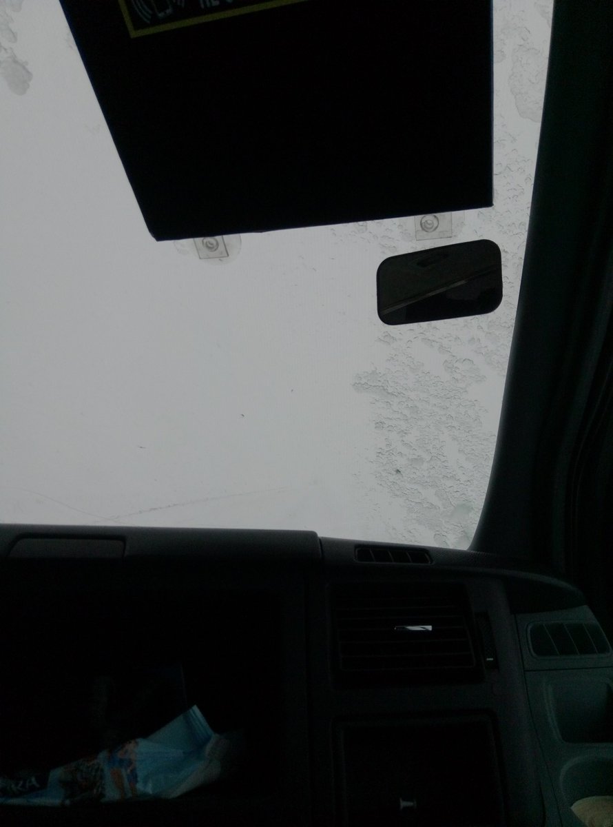 _lost_creature_'s tweet image. 28 марта, больше и добавить нечего