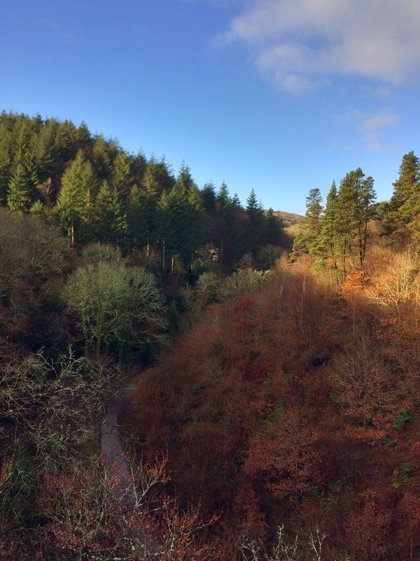 The Tamar Valley AONB Sustainable Development Fund is open for applications for small grants to support projects which conserve and enhance the AONB. The closing date for applications is 29 June. For more information, please see their website at socsi.in/qI1Ik