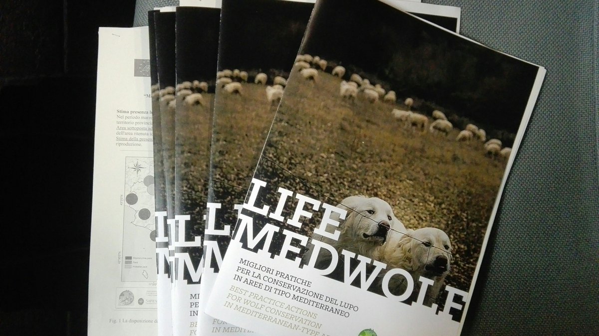lifemedwolf's tweet photo. Alla sala Pegaso del Palazzo della Provincia di #grosseto sta per iniziare la conferenza stampa in cui forniremo i dati finali sulla presenza dei canidi nel territorio grossetano e le analisi genetiche. Seguiteci per saperne di più https://t.co/4IUINft9Ua