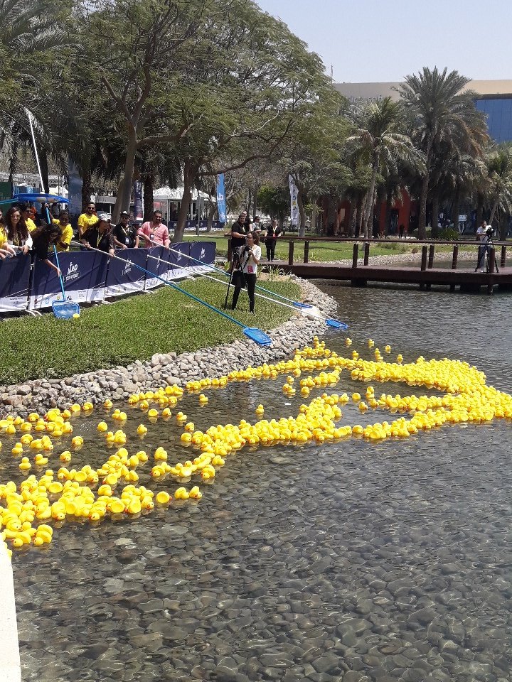_thelivewireco's tweet image. Its @noon and the rubber duckies are afloat! Try and catch some to get vouchers from the retail giant! @stepconference #StartupsAssemble #LiveFromEvent #AUD
