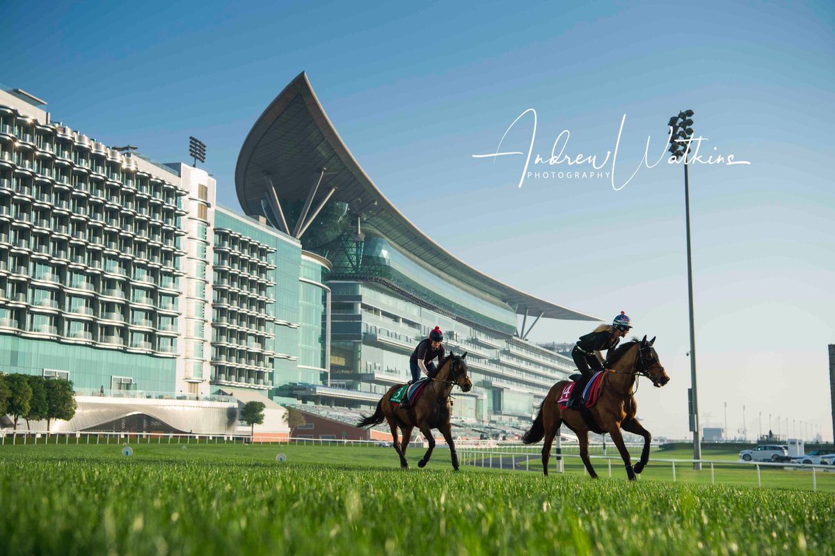 @trilliumplace Sheikhzayedroad and Desert Encounter train @DRC_Meydan turf track this morning.