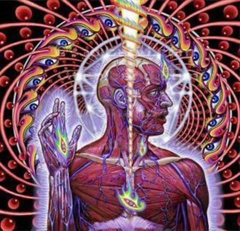 MetalNick's tweet image. #TOOL #Lateralus #Schism 

             -TOOL-

I know the pieces fit!