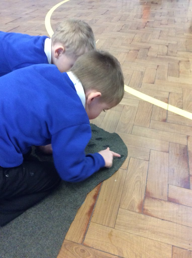 HillstonePS's tweet photo. We found some of Portly’s footprints down by the riverbank. #hpseyfs #languagealive https://t.co/Tsb2JHM0OG