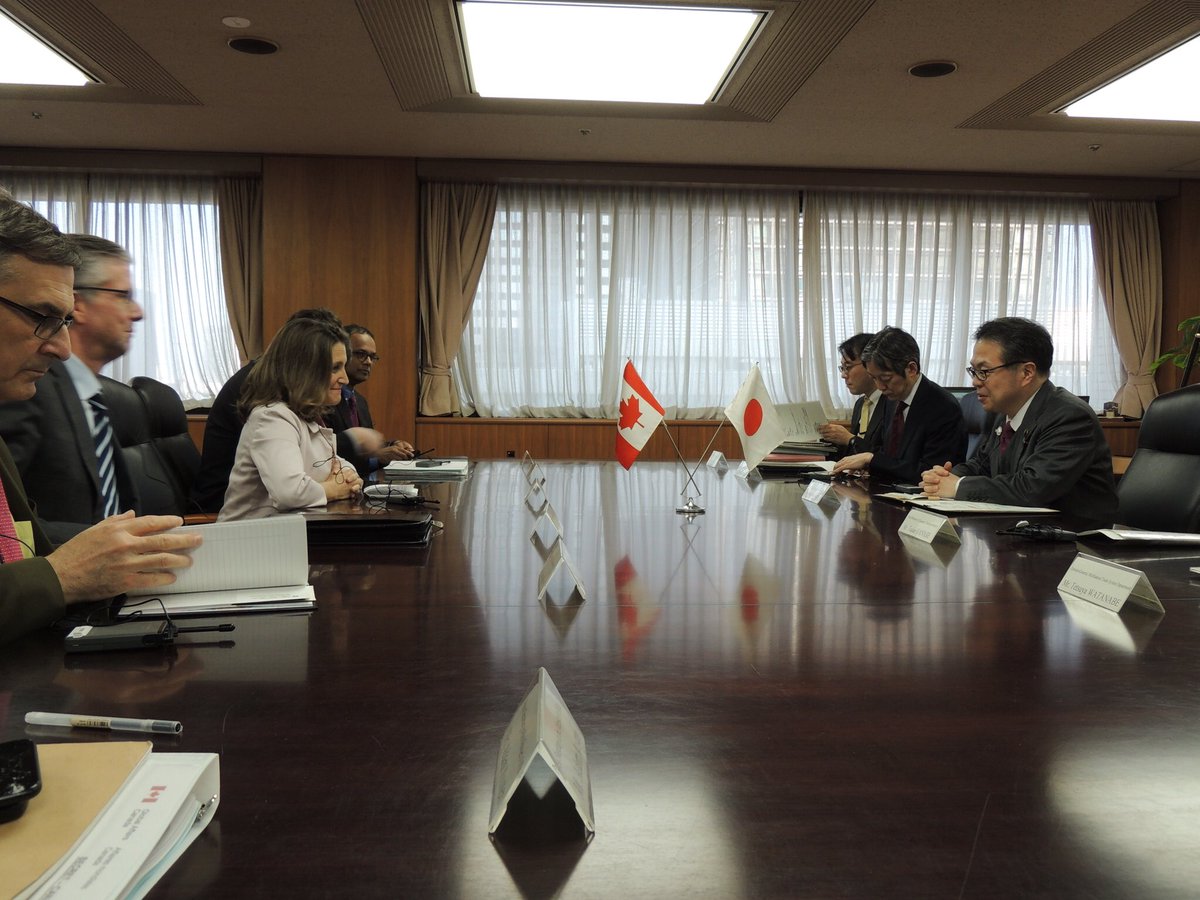 il buon soldato scvèik