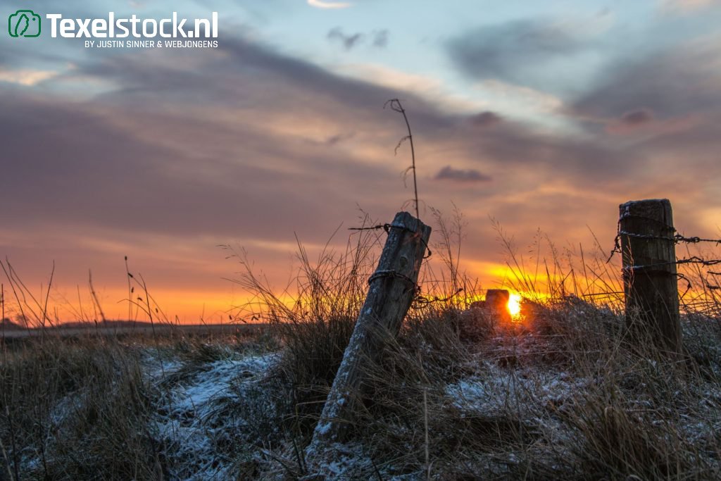 TexelStock's tweet photo. Zonsopkomst boven de landerijen op Texel.
Bekijk het hele aanbod op: https://t.co/99ThtbeOfe
Foto: @ Jan Bakker
#texel #texelstock #stockfoto #stockphoto #natuur #sunrise #landerijen #landschap #natuur https://t.co/etblQgKhdd