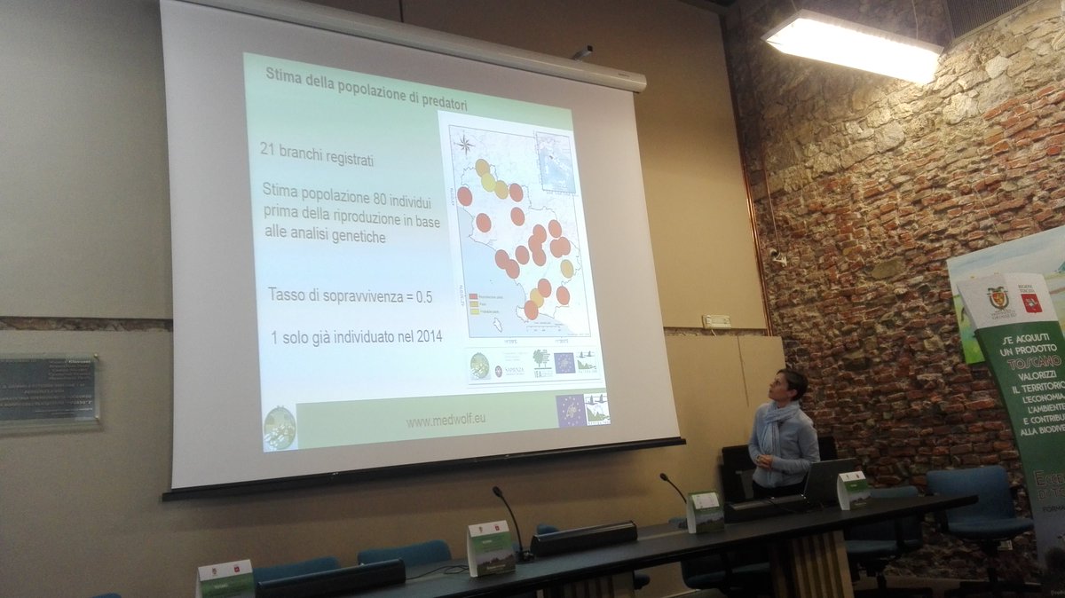 lifemedwolf's tweet photo. Il 2017 è stato l'anno dedicato alla stima della popolazione di predatori. Ad oggi nel territorio della provincia di #grosseto abbiamo rilevato 21 branchi, 16 con evidenza di avvenuta riproduzione. #28marzo https://t.co/DzzJCh4Vzo