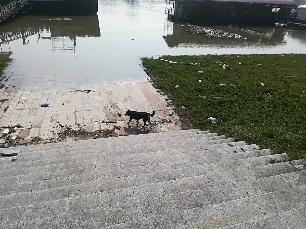 marebatica7's tweet photo. Savski kej danas izgleda ovako. Zasto se niko ne bavi ovim pitanjem? A da, bitnije su nam kule, #BGH2O https://t.co/M8NwKHQrwF