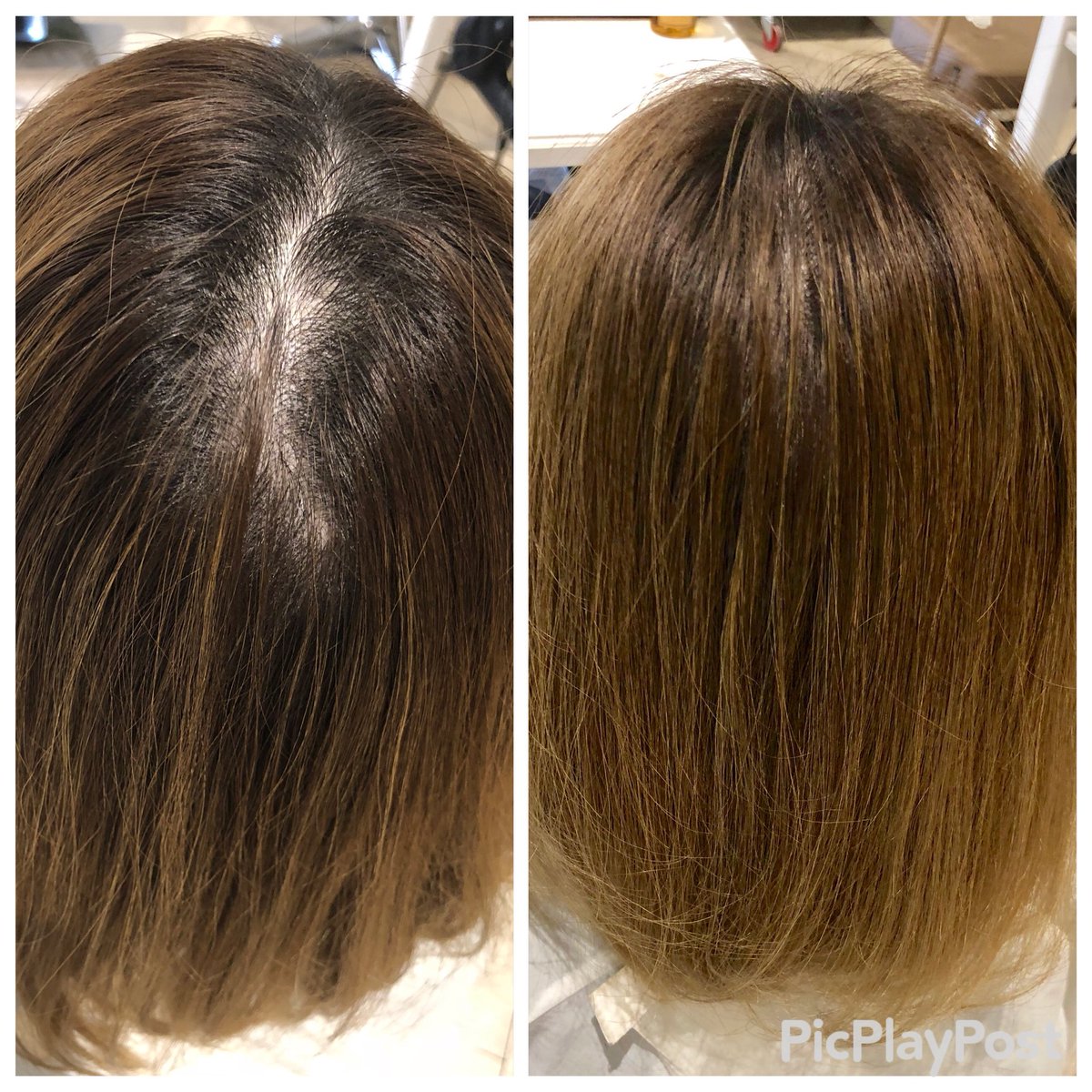 ヘアーリセッター ヘアーリセッター