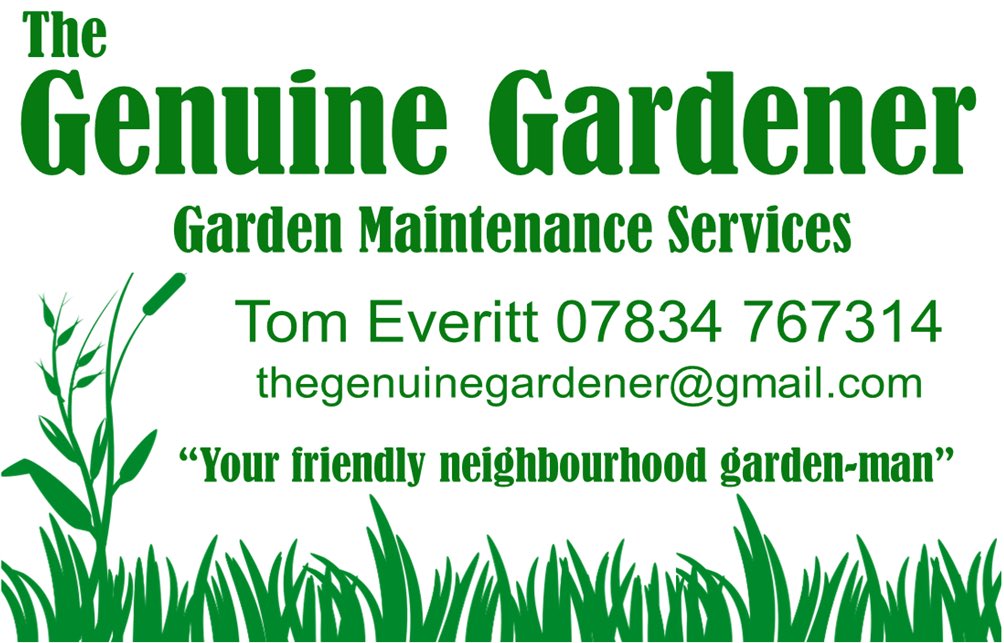 laneendplayers's tweet photo. Looking for friendly and reliable local gardener? Then please contact LEP member Tom Everitt (The Genuine Gardener) for all your garden maintenance needs. https://t.co/Qt2Az3qXO2