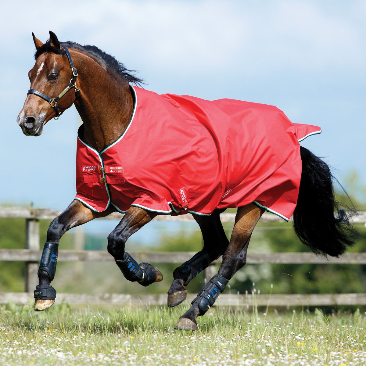 RedpostEq's tweet photo. Have you seen the new Net Lined Amigo Hero 6 Lite Turnout Rug? The net lining feature helps to minimise condensation and provide air circulation: https://t.co/85Y0ZEFnol #redposteq #amigo #horseware #new https://t.co/XGT2FXUESJ