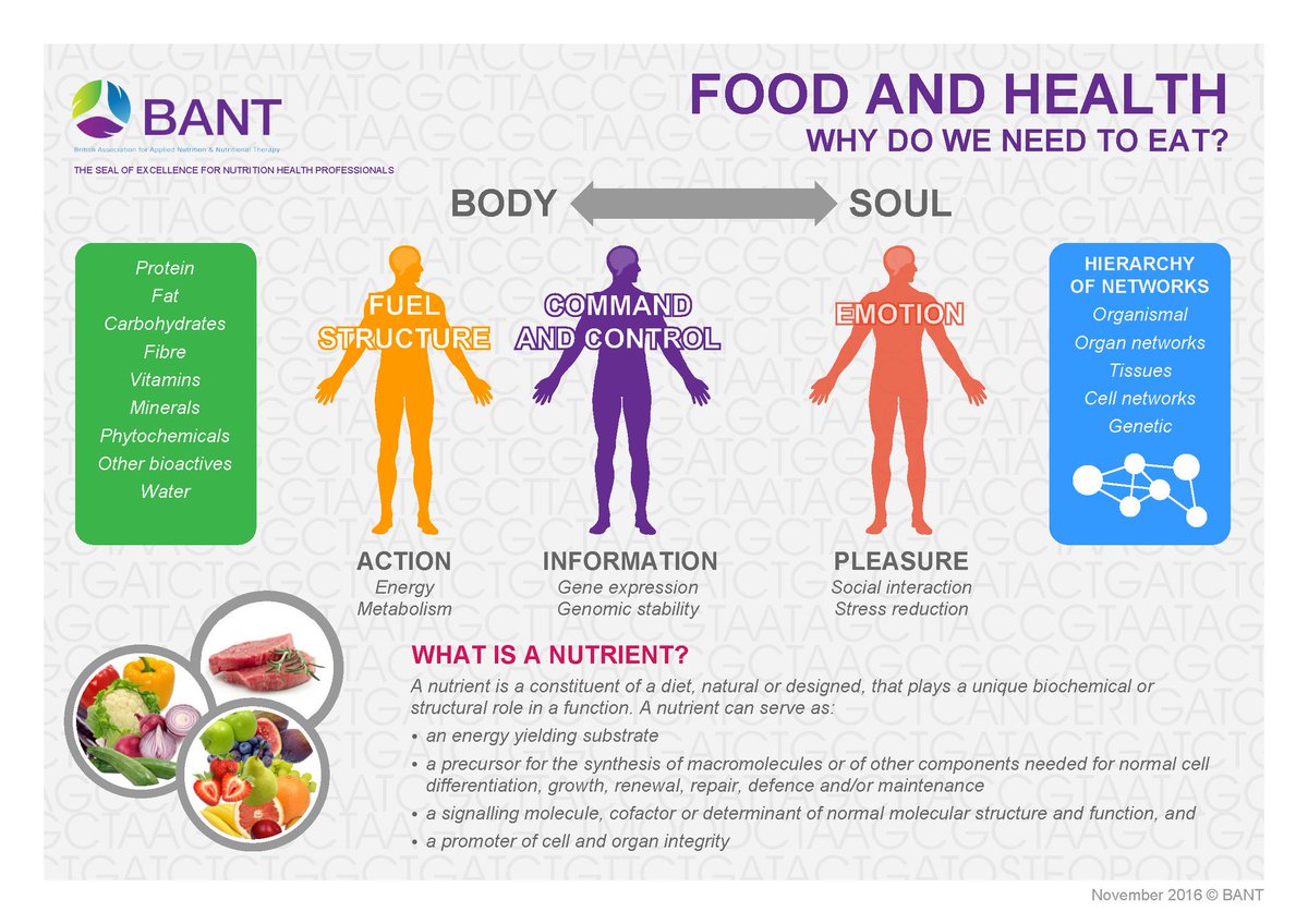 BANTonline's tweet photo. Fundamentals of person-centred nutrition and practice https://t.co/WFLcioMCLN