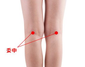 委中 委中