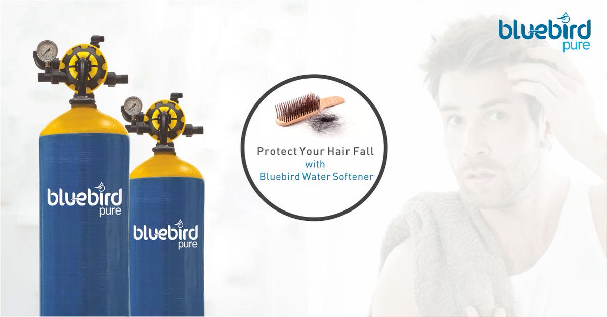 BluebirdPure's tweet image. Protect Your Hair Fall with Bluebird Water Softener

#watersoftener #waterpurifier #rosystem #drinkpure #bluebirdpure

goo.gl/VEBdTF