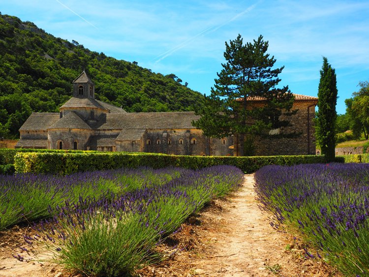 lifefrance's tweet photo. If you're headed to Provence, don't go without checking out our top 10 tips for the very best of this gorgeous part of France: https://t.co/dy4hiUTFVP https://t.co/YUUitLgDa2