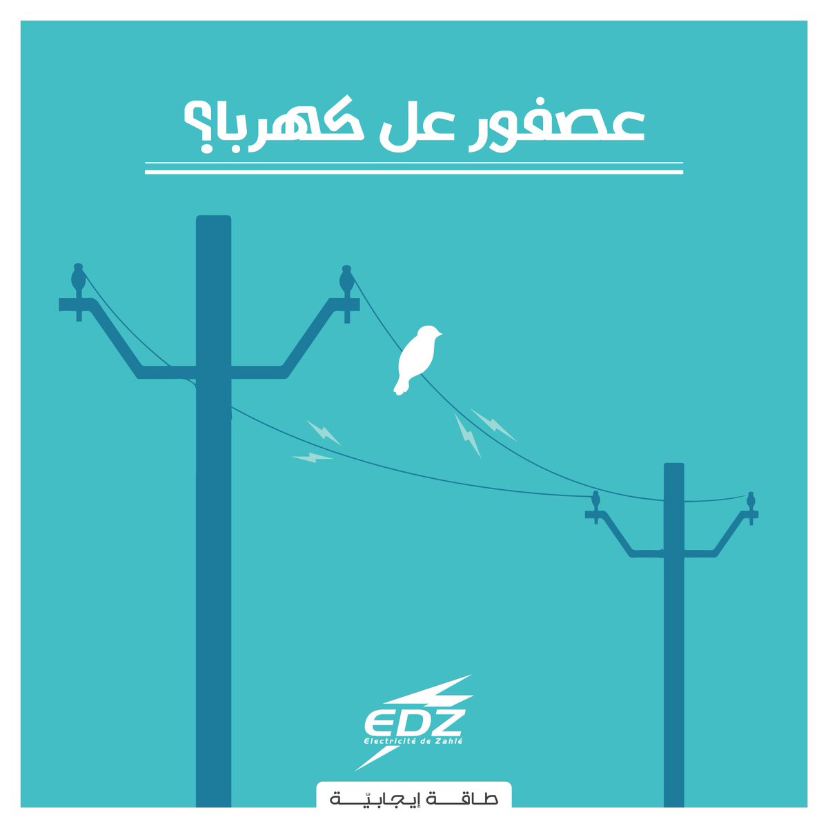 Electricite De Zahle tweet media