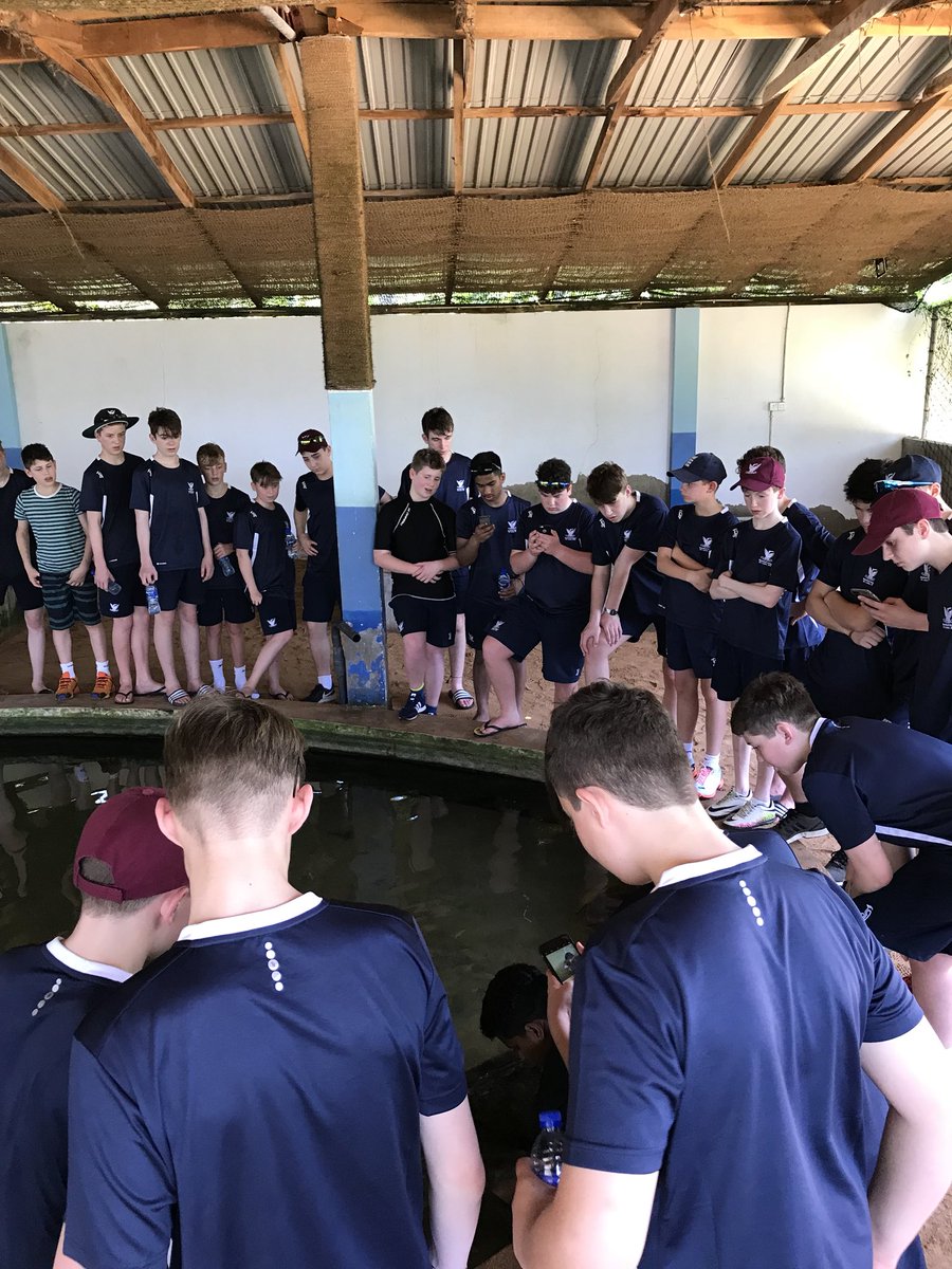 Stamford_Sport's tweet image. Some shade as the mercury goes past 33 and a great fun trip to the turtle conservation sanctuary 👍🏿😄