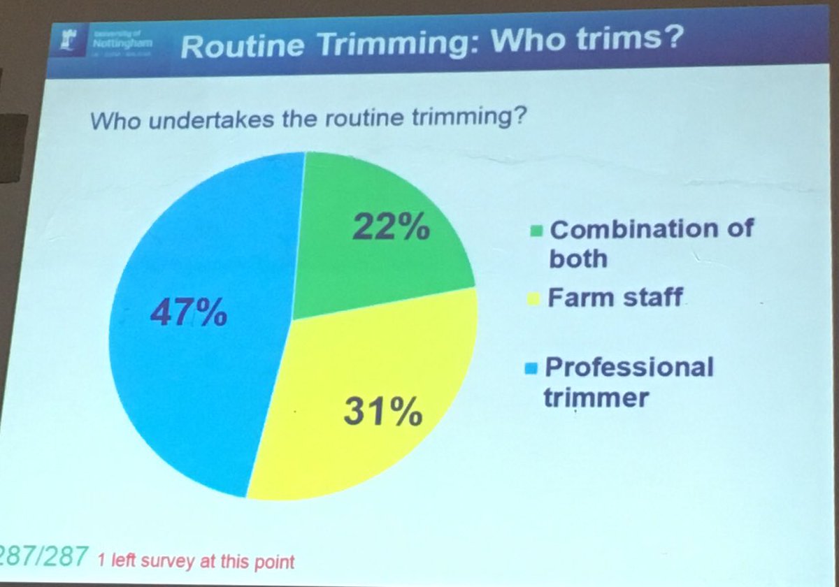 Derek Armstrong tweet media