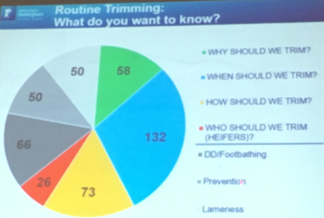 Derek Armstrong tweet media