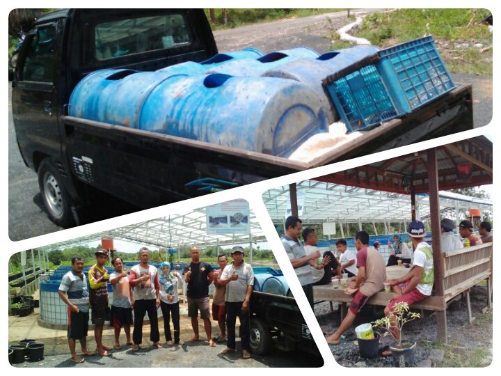 Sesuai namanya pokdakan jempol Kab.Banjar Kalsel penerima bioflok <a href="/bpbatmandiangin/">Bpbat Mandiangin</a> <a href="/BudidayaKKP/">Budidaya KKP (DJPB)</a> benar2 jempolan berhasil panen lele bioflok 3.5 ton dan bersiap untuk mengisi benih lele 40rb ekor.