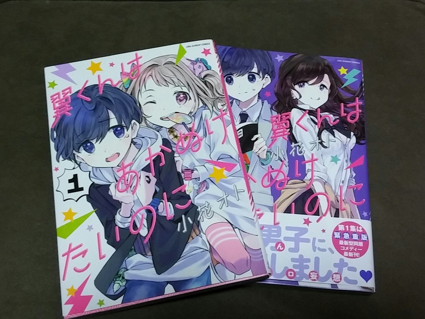 Al ずっと探してたマンガがやっと本屋で置いてあるのを見つけ買いました このマンガは ホントッーに最高です 腹筋崩壊しますwwww 翼くんはあかぬけたいのに 小花オト T Co Y96nf9v8yo Twitter