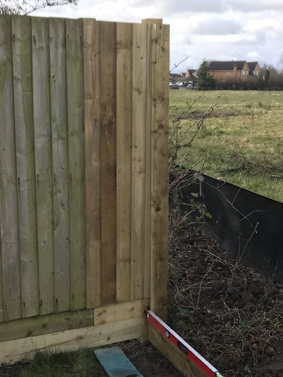 Golden Soney Ltd tweet media