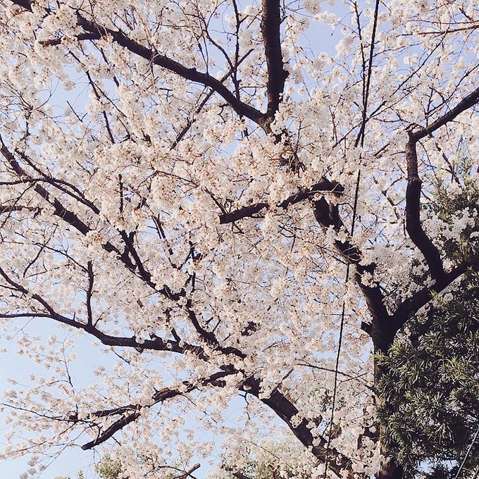 学生時代の友達の個展に行ったんですが、作品からエネルギーをもらった気がします。久しぶりにお話もできて楽しいひと時だった…🌸 私もがんばろ 