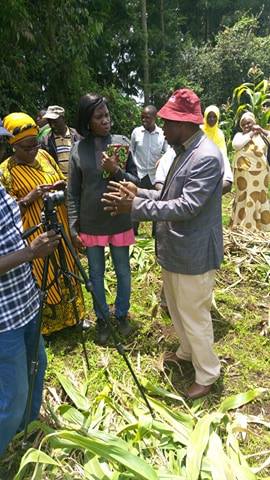 Are you also interested in the learning tour CELEP is organizing with @oxfamwestafrica? Below some pictures from the 2nd Day visit to the -NAARI Dairy cooperative society in Meru <a href="/SNVworld/">SNV - find us on Bluesky as snv.org</a> <a href="/LeComeCatherine/">Catherine LE CÔME</a> <a href="/CULTIVONSBF/">CULTIVONS Burkina</a> <a href="/rangelands_2016/">Ken Otieno</a> <a href="/apessafrique/">APESS</a> <a href="/OKashongwe/">Olivier Kashongwe, ir PhD</a>