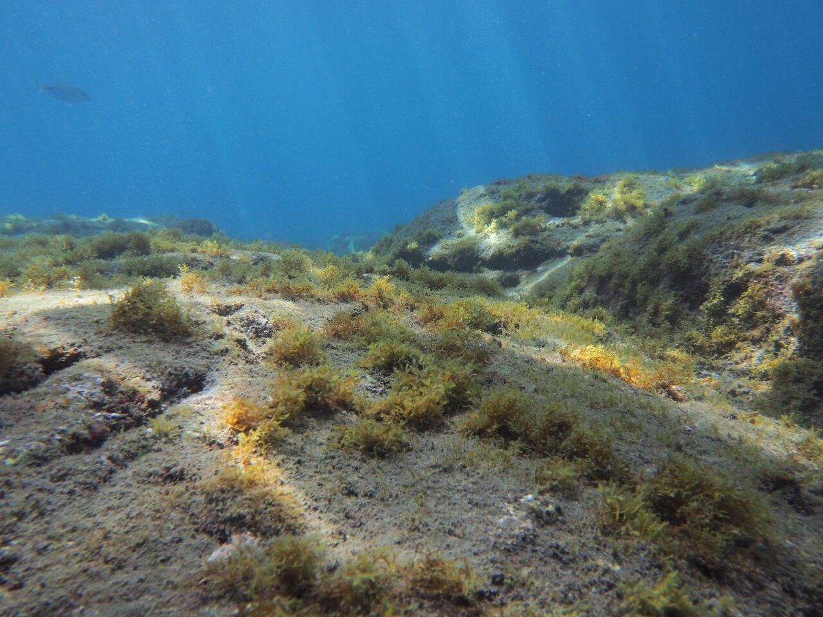 Is it #Sun or #Sea? Come and see for yourself in the #beautiful #GranCanaria. 
Come and stay with us at our #resort as of May 2018! Treat yourself to #adventure or #relaxation. We know all the best spots for both!