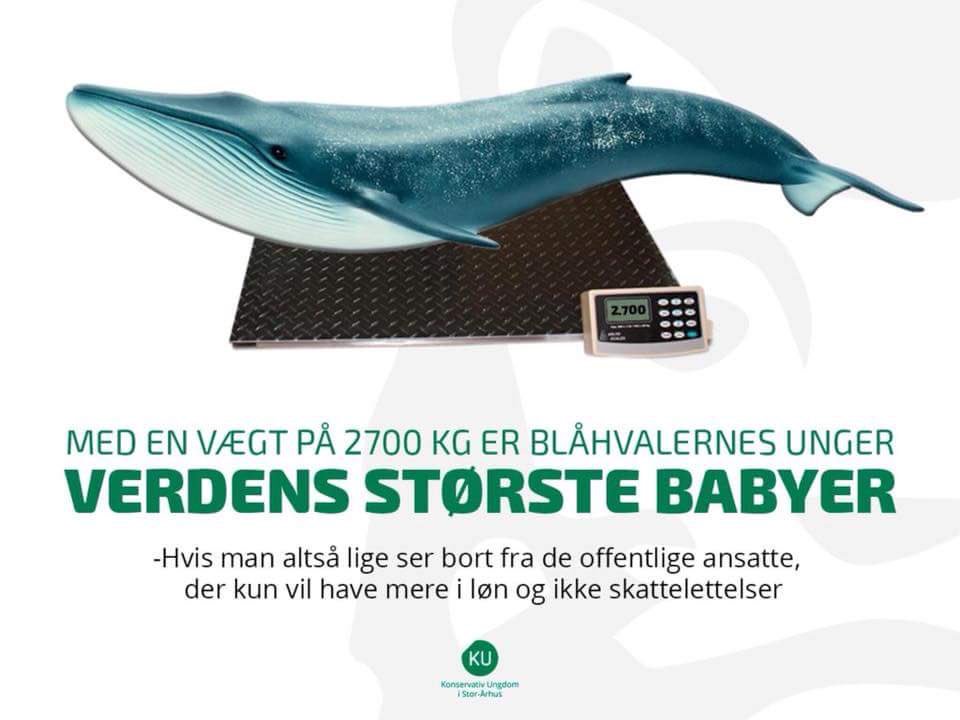 EsbenBjerre's tweet photo. Ok. Fuck jer KU https://t.co/euJ2bB9EKH