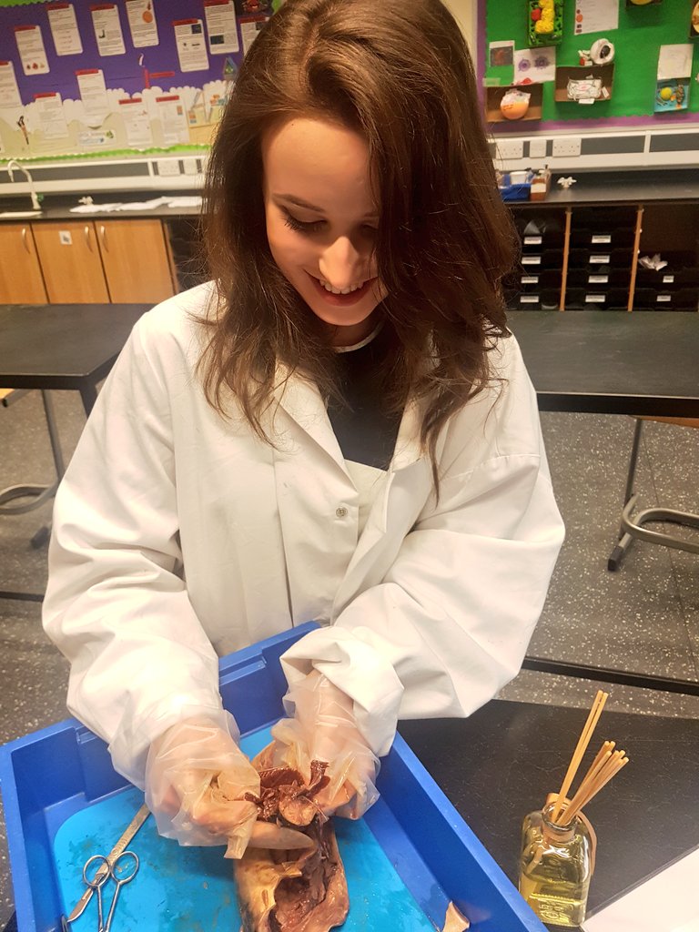Fish dissection at <a href="/EppingStJohns/">ESJ</a> with our lovely A level biologists <a href="/ESJSixthForm/">ESJ Sixth Form</a>. Sorry if youre squeamish, but I think the gills look beautiful!