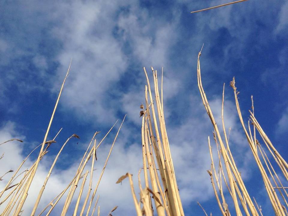 Lakrista333's tweet photo. #soonspring # denmark https://t.co/Ym1crSv6E9