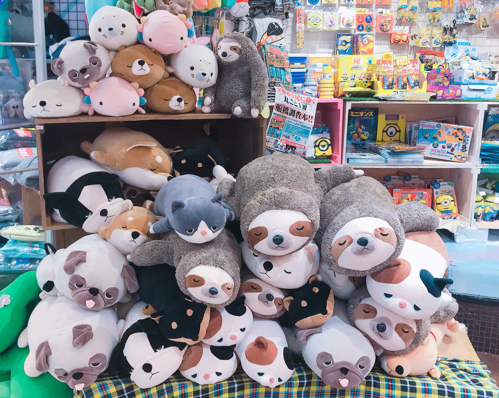 熟す アラバマ 控える ヴィレヴァン ぬいぐるみ Coretech Jp