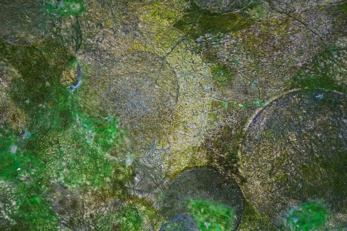 Aeromapper tweet media